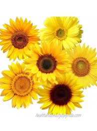 72 Pieces Removable Sunflowers Wall Stickers Peel and Stick 3D Sunflower Wall Decals Self-Adhesive Sunflower Stickers for Crafts Car Decals Kids Baby Bathroom Living Room