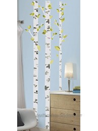 RoomMates RMK2662GM Birch Trees Peel and Stick Giant Wall Decals