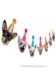 Chihuahua Dog Birthday Garland Funny Chichi Portraits Party Decor Dog Face Bunting Banner