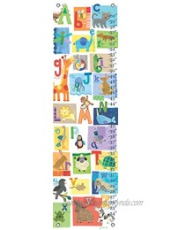 Oopsy Daisy A Z Animals by Jill McDonald Growth Charts 12 by 42-Inch