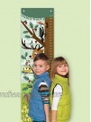 Oopsy Daisy Growth Charts Woodland Creatures by Jenn Ski 12 by 42-Inch