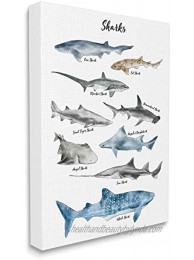Stupell Industries Nautical Shark Chart Watercolor Marine Animals Design by Ziwei Li Canvas Wall Art 16 x 20 White