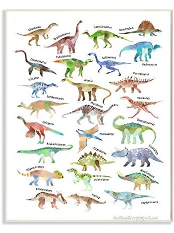 Stupell Industries Soft Watercolor Dinosaur Chart Playful Reptiles Design by Ziwei Li Wall Plaque 13 x 19 White