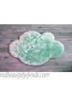 Machine Washable Faux Sheepskin Mint Cloud Area Rug 32" x 44" Soft and Silky Perfect for Baby's Room Nursery playroom 2' 7" x 3' 7" Mint Cloud