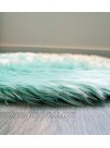 Machine Washable Faux Sheepskin Mint Cloud Area Rug 32" x 44" Soft and Silky Perfect for Baby's Room Nursery playroom 2' 7" x 3' 7" Mint Cloud