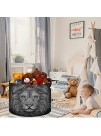 visesunny Collapsible Large Capacity Basket Lion Black White Pattern Clothes Toy Storage Hamper with Durable Cotton Handles Home Organizer Solution for Bathroom Bedroom Nursery Laundry,Closet