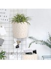 ANMINY 3PCS Woven Cotton Rope Basket Set Hanging Wall Planter Baskets Small Closet Shelf Desk Storage Bins Boxes Baby Nursery Organizer Container with Handles for Flower Plants Light Brown