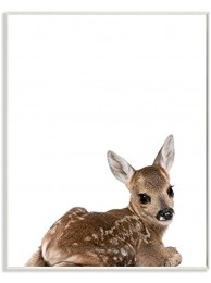 Stupell Home Décor Baby Fawn Studio Photo Wall Plaque Art 10 x 0.5 x 15 Proudly Made in USA