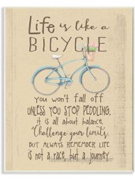 Stupell Industries Life is Like a Bicycle' Icon Inspirational Typography Wall Plaque 10x15 Design By Artist Regina Nouvel