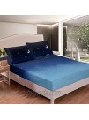 jejeloiu Galaxy Bed Sheet Set 3Pc Blue Twin Size Outer Space Bedding Sheet Set with 1 Flat Sheet & 1 Fitted Sheet with 1 Pillowcase Twin,Blue