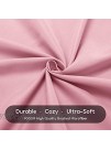 SLEEP ZONE Ultra Soft Kids Queen Size Sheet Set 4-Piece Wrinkle & Fade Resistant Double Brushed Microfiber Sheets Set with Pillowcase Queen Ballet Pink