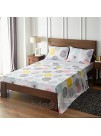 Uozzi Bedding Printed 4 Pieces Girls Bed Sheets Set Queen Size 1500 Soft Brushed Microfiber Colorful Dots and Stripes Patterned Adult Bedding Set