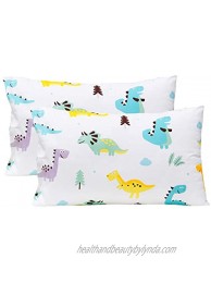 J-pinno Blue Dinosaur Cute 2 Pcs Pillowcases 100% Natural Cotton 20" X 30" for Kids Toddler Boys Girls Bedding Decoration 14